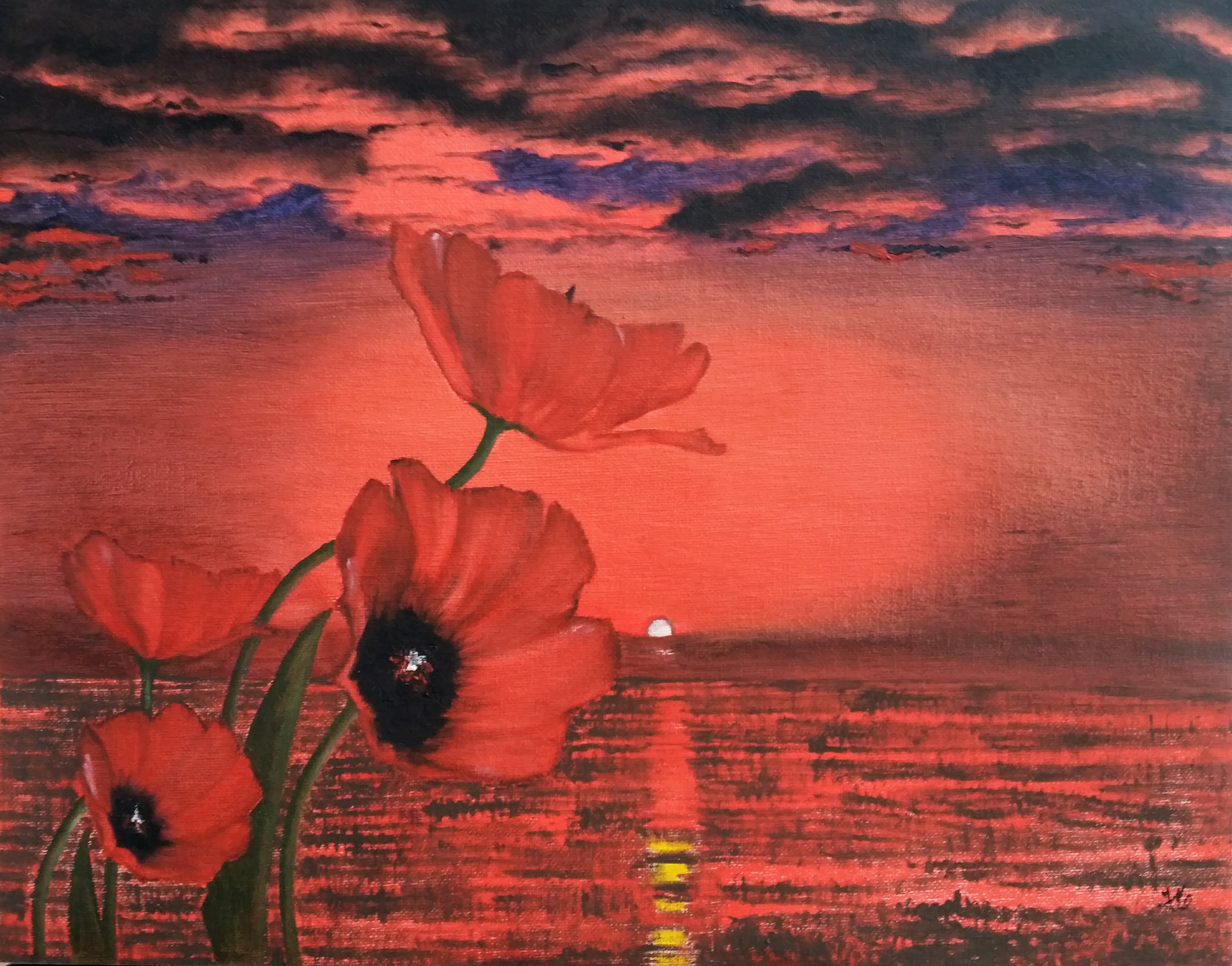 Crimson Poppies